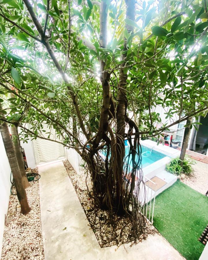 Cozy Tiny Studio Acasadialexplayadelcarmen Playa del Carmen Extérieur photo