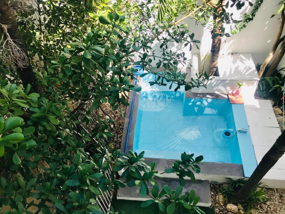 Cozy Tiny Studio Acasadialexplayadelcarmen Playa del Carmen Extérieur photo